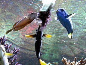91_466f8d957905e.jpg 480X360 px
