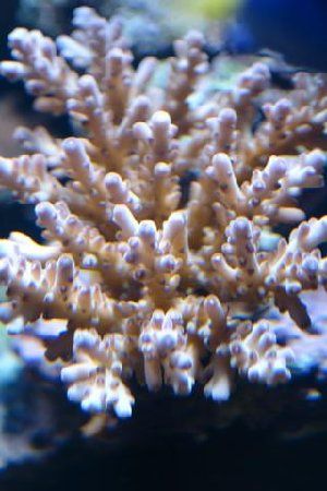 91_473abf09977bc.jpg 320X480 px