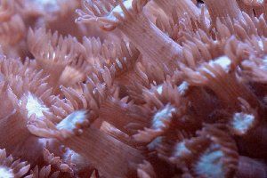 91_474d82215ed0a.jpg 1000X667 px