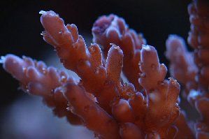 91_4815755db01f5.jpg 800X533 px