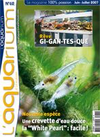 Aquarium � la Maison n� 062