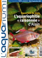Aquarium � la Maison n� 063