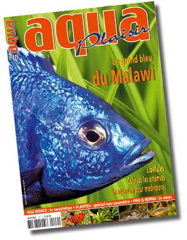 AQUA Plaisir n� 119