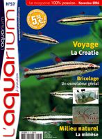 Aquarium � la maison n� 57