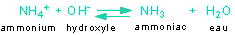 L'&acute;ammonisation