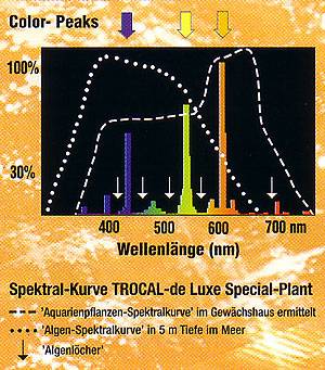 Tubes Dennerle