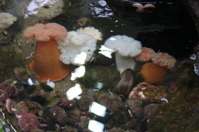 eau_de_mer_400 eau_de_mer_400