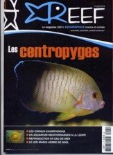 reef_mag_1