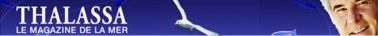 tetiere_site