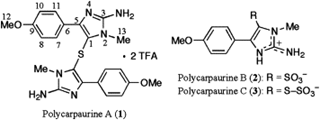 Molcules de polycarpaurine