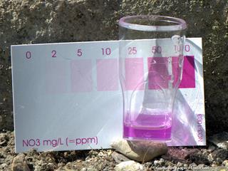 Test nitrates NO3 (Salifert)