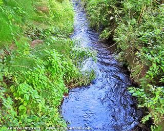 ruisselet