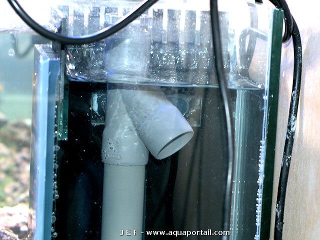 durso aquarium
