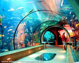 Un aquarium public