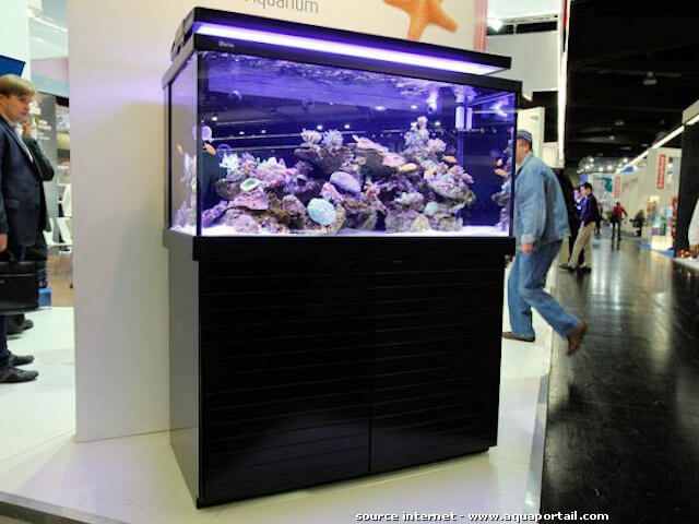 rsm500, l'aquarium red sea max 500
