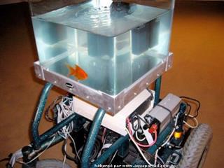 Un poisson rouge dans son aquarium pilote une machine!