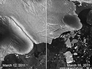 Un tsunami au Japon donne naissance  des icebergs en Antarctique