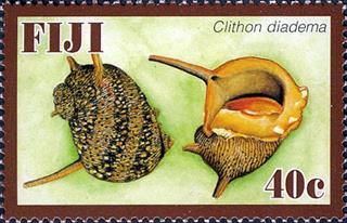 Sello con diadema clithon