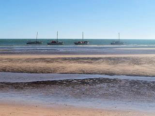 Banc du Golfe d'Arguin