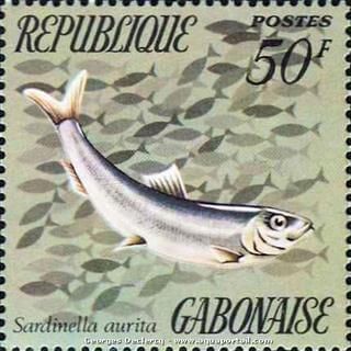 Timbre du Gabon  l'effigie de Sardinella aurita, l'allache