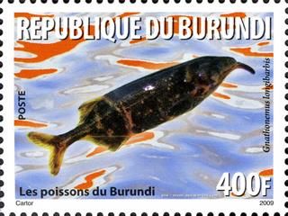 Sello de Burundi con la efigie de Gnathonemus longibarbis