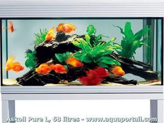 Aquarium Askoll Pure L blanc