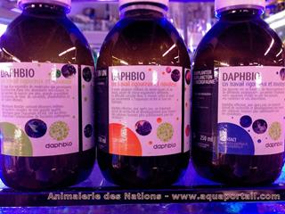 Emplois conseils de Daphbio