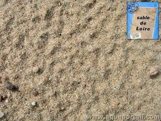 Le sable de Loire idal en aquarium
