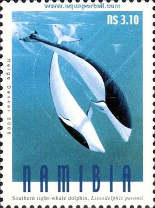 Timbre de Namibie avec couple de Lissodelphis peronii