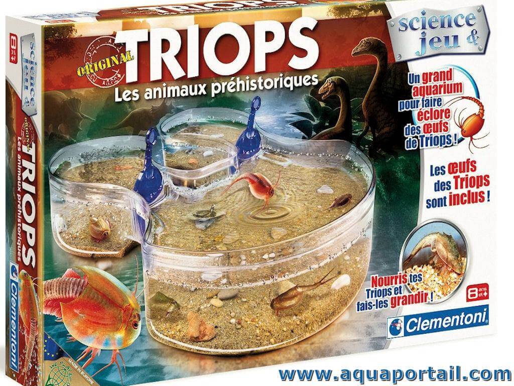 Elevage de triops / expérience n°3 