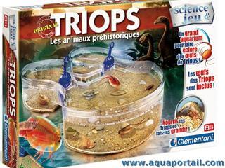 Clementoni, boîte Triops préhistoriques