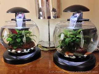 Aquarium boule betta Tetra Cascade Globe