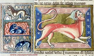 bestiaire
