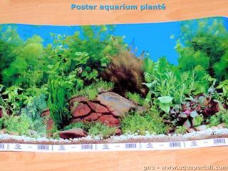 fixer un poster de fond d'aquarium