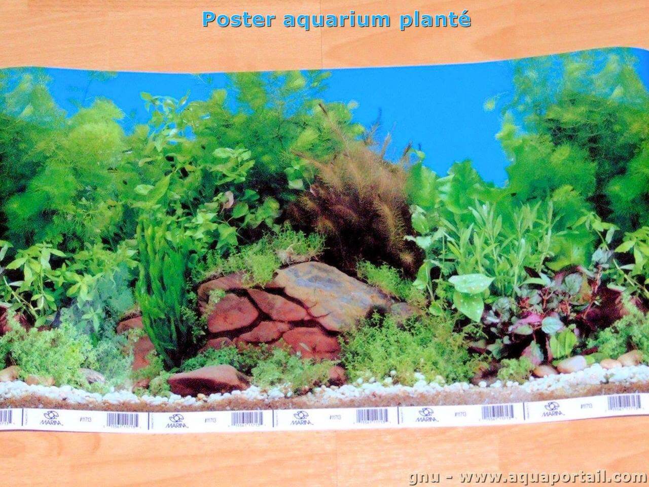 Verbeteren Luidruchtig Rechtmatig Fixer un poster de fond d'aquarium : définition illustrée