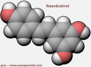 Molcule de resvratrol