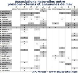 Tableau des anmones de mer compatibles avec les poissons-clowns