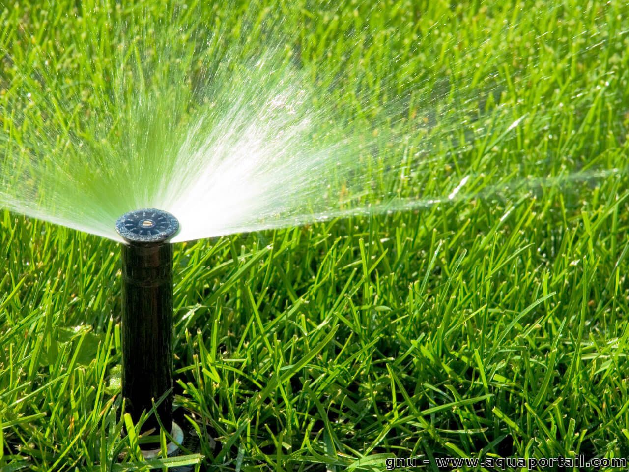 Irrigation : définition et explications