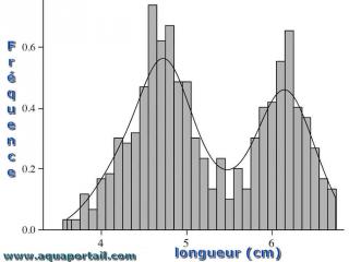 [Imagen: courbe-croissance-corydoras-paleatus.jpg]