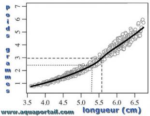 Courbe ratio poids-longueur Corydoras poivr