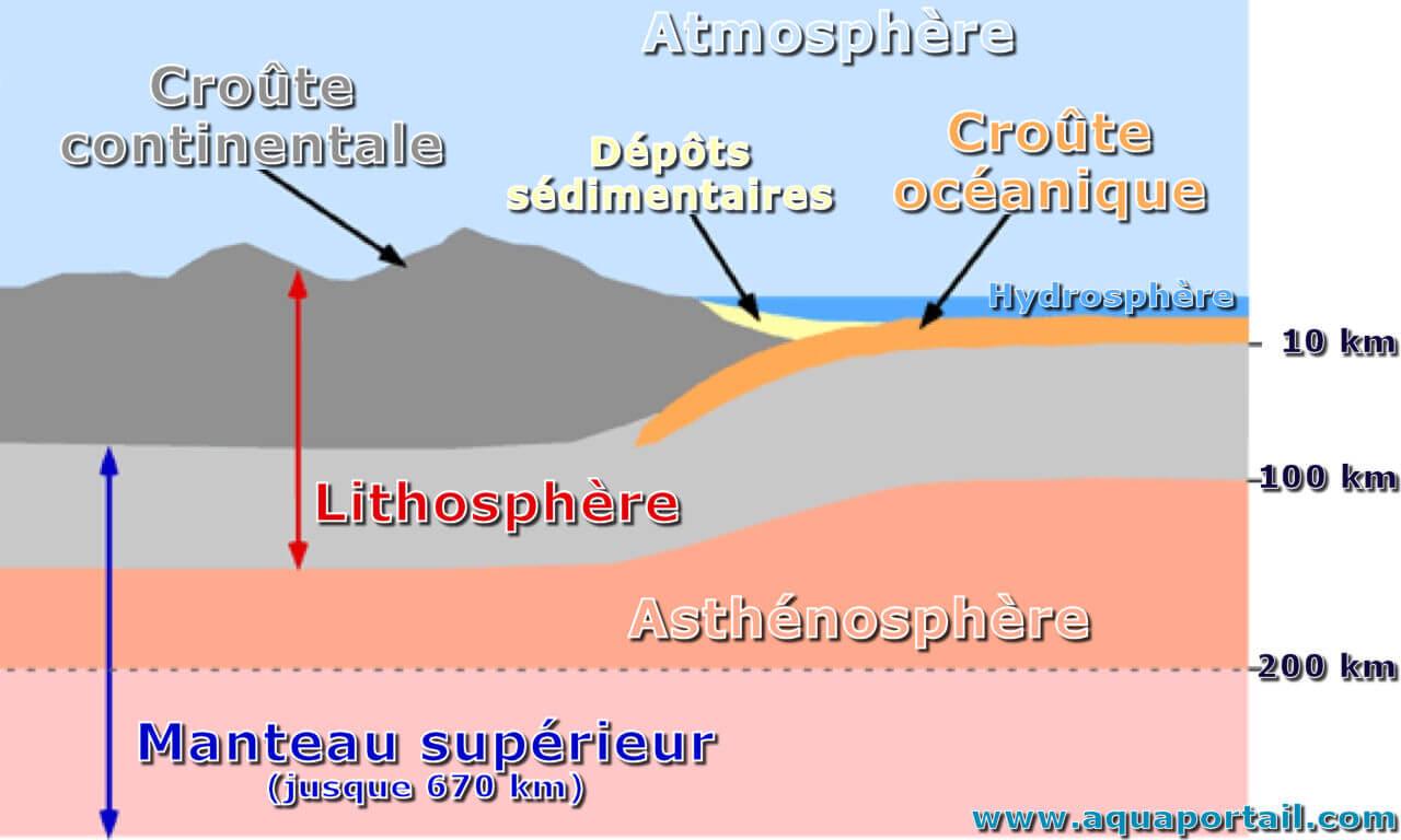 Ver de terre : définition et explications