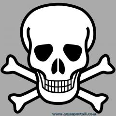Symbole de la toxicit : une tte de mort
