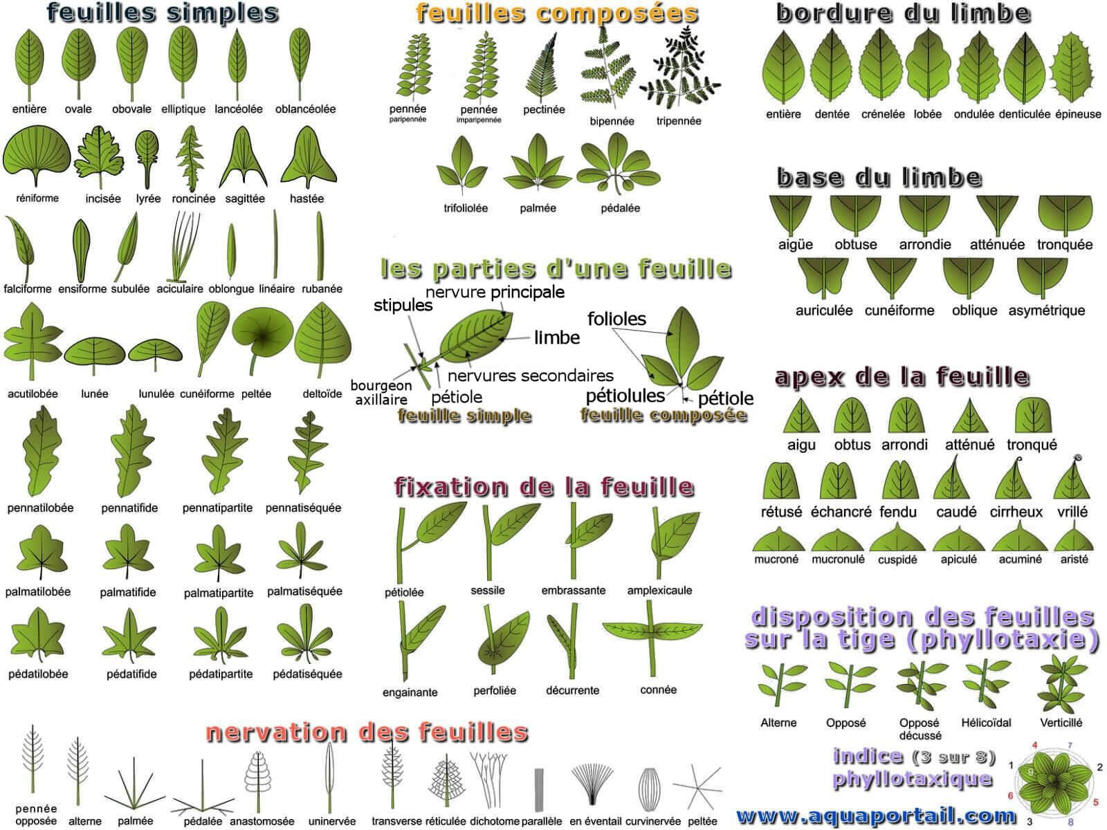 Feuille D finition Et Explications Feuille D finition Et Explications