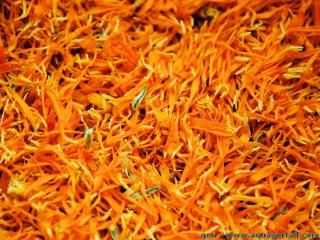 Une rcolte de pistils de soucis des champs C. arvensis