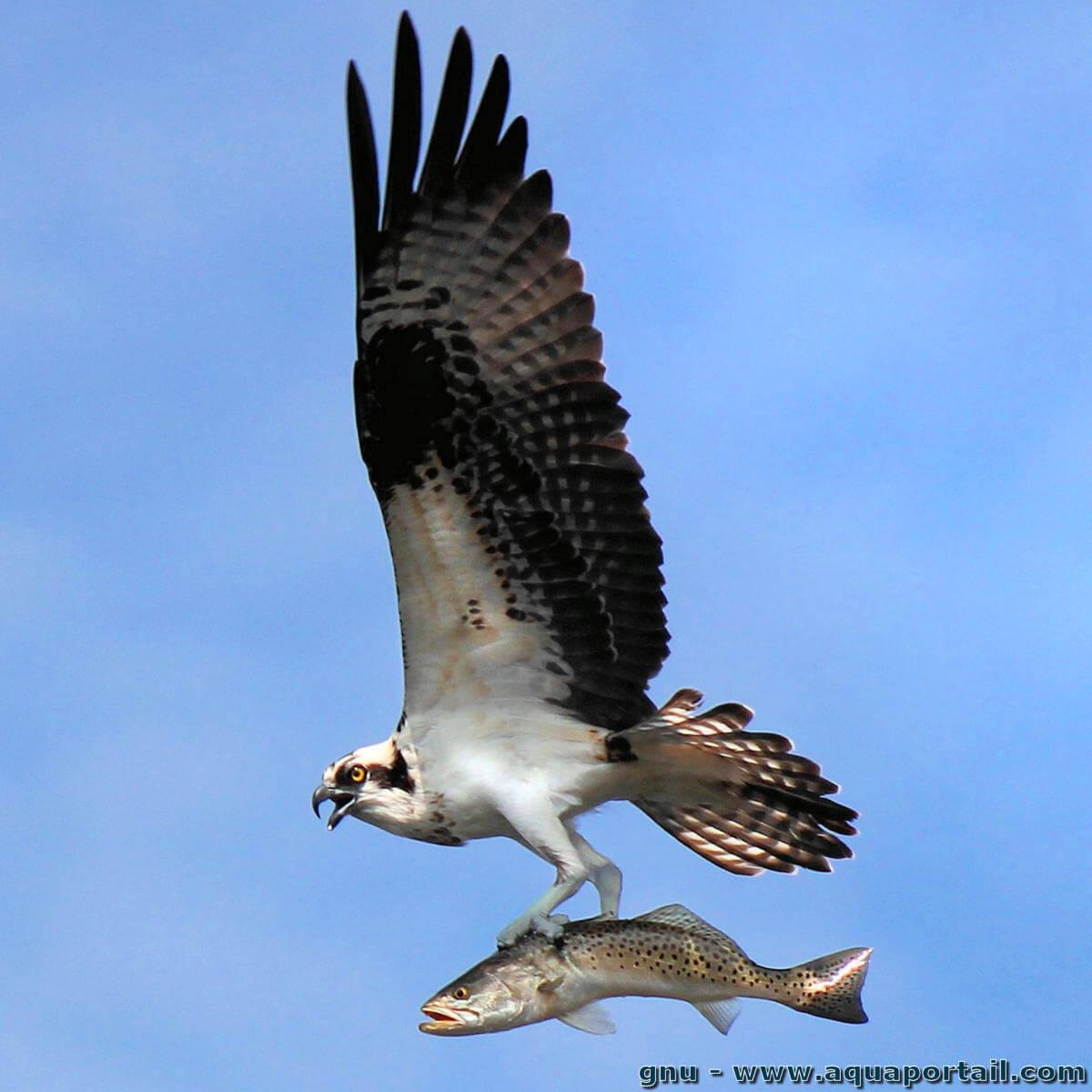 My Image 30