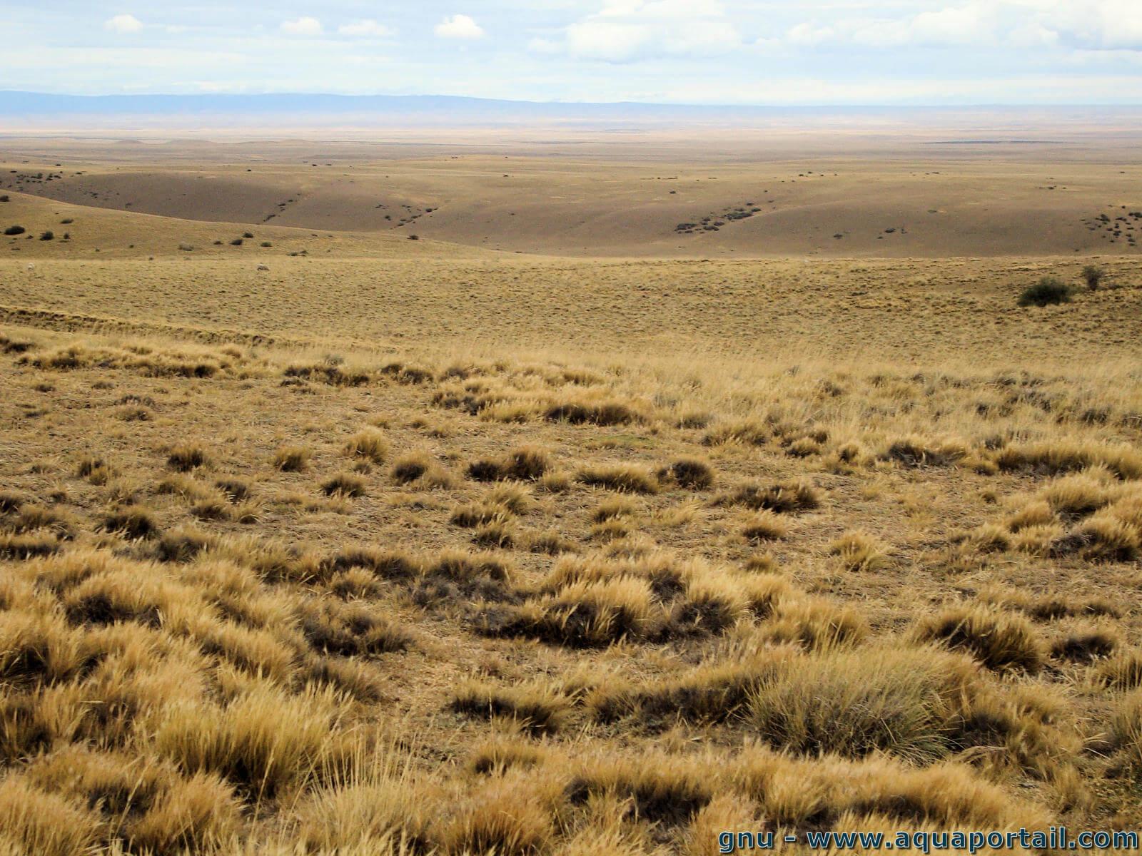 Steppe D finition Et Explications