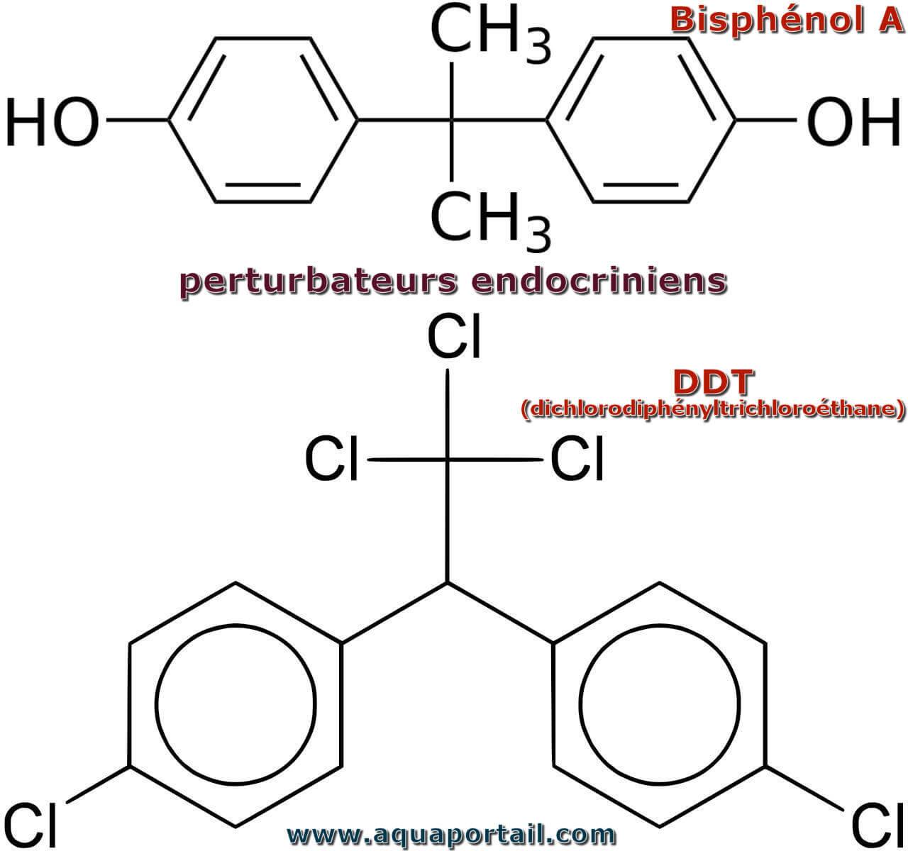 Perturbateur endocrinien : définition illustrée et explications
