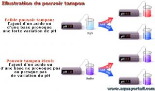 pouvoir tampon