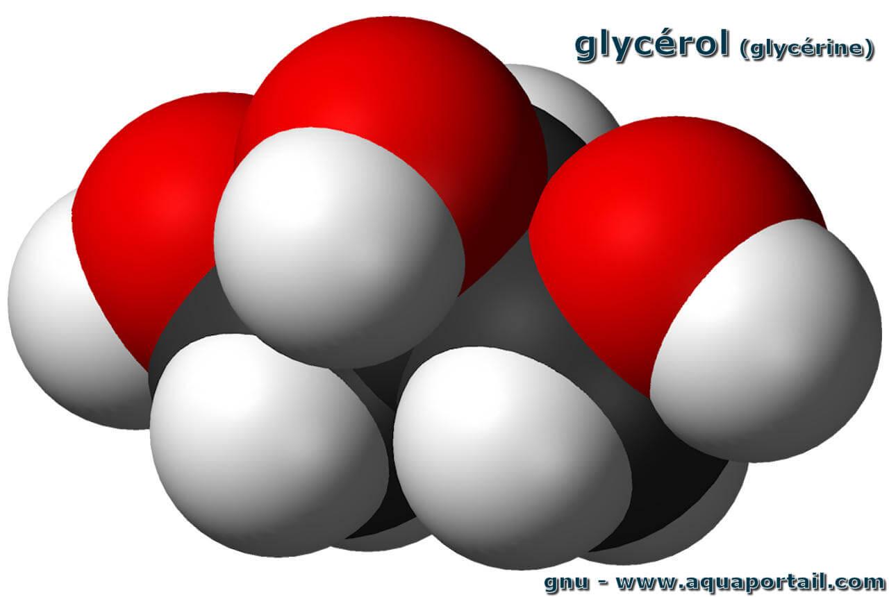 Glyc rol D finition Et Explications Glyc rol D finition Et Explications