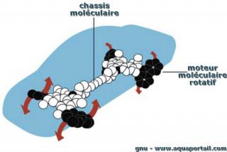 Les moteurs molculaires et leur chassis